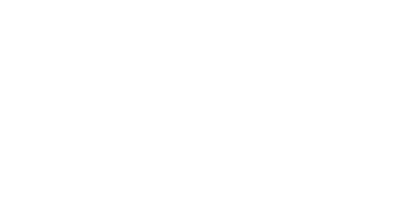 il saper fare